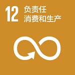 12 负责任消费和生产