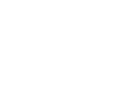 Fuji in 3 Minutes